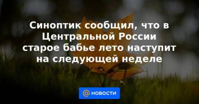 Синоптик сообщил, что в Центральной России старое бабье лето наступит на следующей неделе - news.mail.ru - Россия