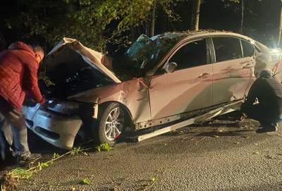 Питер Онлайн - В Сосново подвыпивший водитель BMW на огромной скорости снес женщину с собакой - ivbg.ru - Украина - Санкт-Петербург - Ленобласть