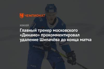 Алексей Кудашов - Сергей Емельянов - Главный тренер московского «Динамо» прокомментировал удаление Шипачёва до конца матча - championat.com - Москва