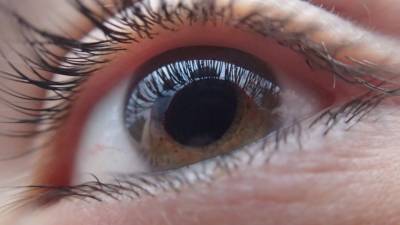 Вирджиния - Ученые университета Вирджинии предложили лечить глазное заболевание лекарствами от ВИЧ - inforeactor.ru
