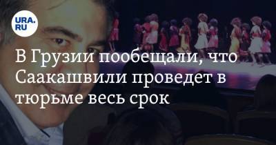 Михаил Саакашвили - Ираклий Гарибашвили - В Грузии пообещали, что Саакашвили проведет в тюрьме весь срок - ura.news - Россия - Грузия