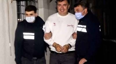 Михаил Саакашвили - Правящая партия Грузии лидирует на выборах, оппозиция заявляет о фальсификациях - enovosty.com - Грузия