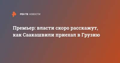 Михаил Саакашвили - Ираклий Гарибашвили - Силовики в скором времени раскроют, как Саакашвили попал в Грузию - ren.tv - Грузия