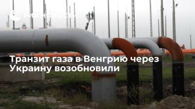 Венгерский оператор ГТС заявил о возобновлении транзита газа через Украину - ria.ru - Москва - Австрия - Украина - Венгрия - Болгария - Сербия