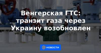 Венгерская ГТС: транзит газа через Украину возобновлен - news.mail.ru - Россия - Украина - Венгрия