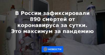 В России зафиксировали 890 смертей от коронавируса за сутки. Это максимум за пандемию - news.mail.ru - Москва - Россия - Санкт-Петербург - Краснодарский край - Воронежская обл. - Ростовская обл. - Свердловская обл. - Самарская обл. - Ставрополье