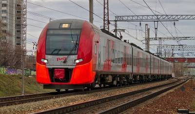 Депутаты Госдумы потребовали проверить ремонт поезда за счет матери сбитого ребенка - newizv.ru - Россия - Солнечногорск