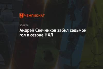 Бэй Лайтнинг - Андрей Свечников - Андрей Свечников забил седьмой гол в сезоне НХЛ - championat.com - Россия