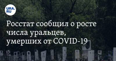 Росстат сообщил о росте числа уральцев, умерших от COVID-19 - ura.news - Челябинская обл. - Тюменская обл. - Свердловская обл. - окр. Уральский
