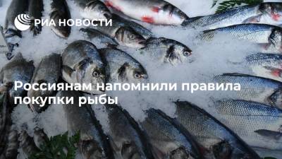 Эксперт Строева посоветовала россиянам покупать рыбу в сертифицированном магазине - ria.ru - Москва - Россия