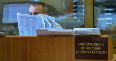 Россиянин обманул полицейских и стал фигурантом дела - moslenta.ru