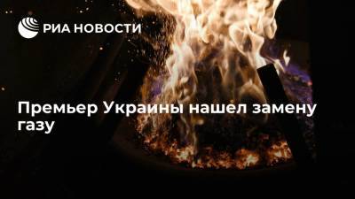 Денис Шмыгаль - Премьер Украины Шмыгаль назвал биотопливо альтернативой газу - ria.ru - Москва - Украина - Волынская обл.