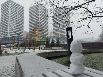 Первый снегопад прошёл в Новосибирске 30 октября - sib.fm - Новосибирск