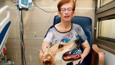 Спасенная семьей израильтян собака спасла 80-летнюю маму от инсульта - vesty.co.il - Россия - Израиль