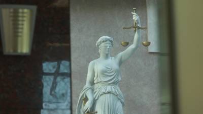 Суд Петербурга слушал последнее слово обвиняемого в мошенничестве более 13 часов - dp.ru - Россия - Ленинградская обл. - Санкт-Петербург