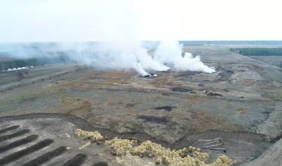 Дым от сжигания куриц до сих пор доходит до Тюмени - nashgorod.ru - Тюмень