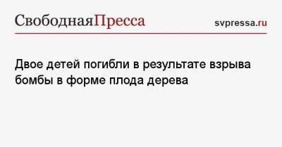 Двое детей погибли в результате взрыва бомбы в форме плода дерева - svpressa.ru - Дамаск - Мурманская обл. - Ставрополье - Уганда