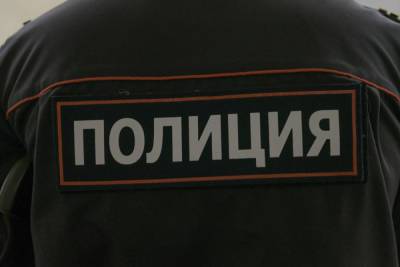 Руслан Бобиев - Оголившуюся на фоне Исаакиевского собора блогершу задержали - mk.ru - Москва - Россия - Санкт-Петербург
