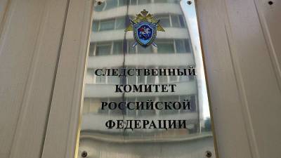 Светлана Петренко - СК проверяет информацию о захвате в плен 37 россиян в Донбассе - iz.ru - Россия - Украина - Израиль