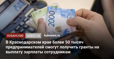 Александр Руппель - В Краснодарском крае более 50 тысяч предпринимателей смогут получить гранты на выплату зарплаты сотрудникам - kubnews.ru - Краснодарский край