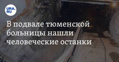 В подвале тюменской больницы нашли человеческие останки - ura.news - Тюменская обл.