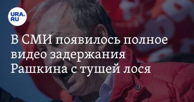 Валерий Рашкин - В СМИ появилось полное видео задержания Рашкина с тушей лося - ura.news - Россия - Саратовская обл.