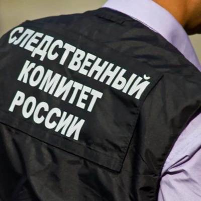 Светлана Петренко - СК России проверяет информацию о незаконных действиях украинских силовиков - radiomayak.ru - Россия - Украина - ДНР - Горловка