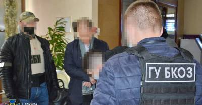 Надежда Максимец - Суд взял под домашний арест "лоббиста" шоу-бизнеса, пытавшегося подкупить нардепа - kp.ua - Украина - Киев