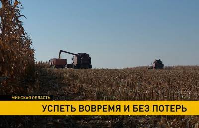 Александр Лукашенко - Аграрии вышли на финишную прямую по уборке кукурузы - ont.by - Белоруссия - Добруш