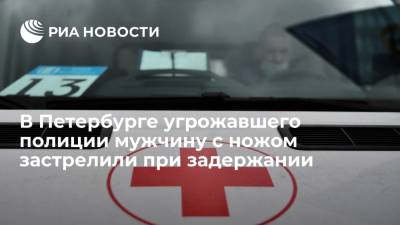 В Санкт-Петербурге угрожавшего полиции мужчину с ножом застрелили при задержании - ria.ru - Россия - Ленинградская обл. - Санкт-Петербург