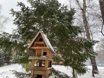 Новосибирцы поделились снимками города в снегу - sib.fm - Новосибирск