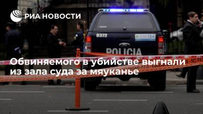 В Аргентине обвиняемого в двойном убийстве изгнали из зала суда за мяуканье - ria.ru - Москва - Израиль - Аргентина