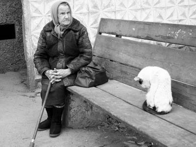 Александр Бастрыкин - Следователи займутся челябинкой, публикующей видео с издевательствами над больной бабушкой - rosbalt.ru - Россия - Челябинск