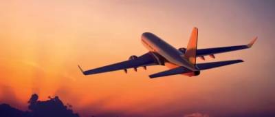 Пьяные россияне избили пассажирку самолета за замечание - w-n.com.ua - Екатеринбург - Стамбул