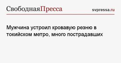 Мужчина устроил кровавую резню в токийском метро, много пострадавших - svpressa.ru - Москва - Токио - Египет