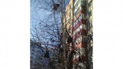 Куски кровли дома на пр-те Строителей украсили деревья во дворе - penzainform.ru - Пенза