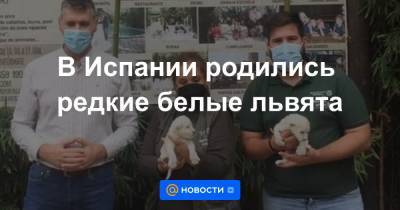 Анна Лысенко - В Испании родились редкие белые львята - news.mail.ru - Испания