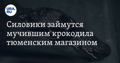 Силовики займутся мучившим крокодила тюменским магазином. Видео - ura.news - Тюмень