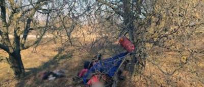 В районе Волновахи произошло ДТП, в котором погиб ребенок - w-n.com.ua - Украина - Донецкая обл.