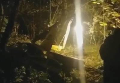 Появилось новое видео с места крушения вертолета в Подмосковье - vm.ru - Россия - Московская обл. - Московская область