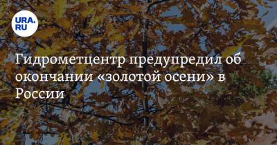 Роман Вильфанд - Гидрометцентр предупредил об окончании «золотой осени» в России - ura.news - Россия