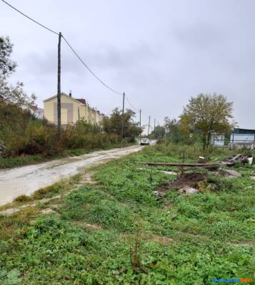 В Новом Дальнем живодер расстреливал собак на глазах у прохожих - sakhalin.info