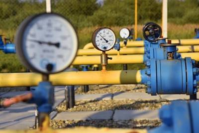 Алексей Кущ - Украине предрекли «газовую инквизицию» - lenta.ru - Украина
