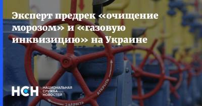 Алексей Кущ - Эксперт предрек «очищение морозом» и «газовую инквизицию» на Украине - nsn.fm - Украина