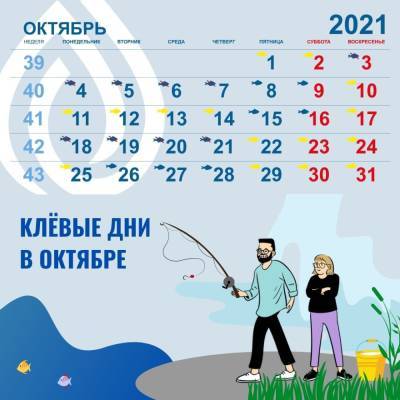 Опубликован календарь с лучшими днями для рыбалки в октябре на территории Ленобласти - ivbg.ru - Украина - Ленинградская обл.