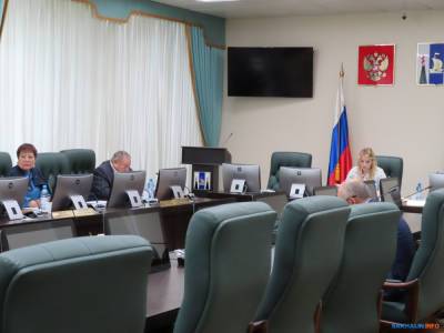В сахалинской думе погрузились в проблемы детского питания - sakhalin.info - Сахалинская обл.