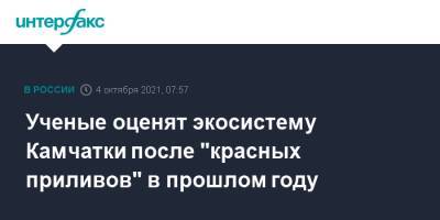 Ученые оценят экосистему Камчатки после "красных приливов" прошлого года - interfax.ru - Москва