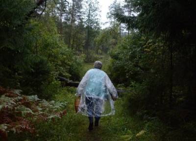 Под Смоленском в лесу заблудились две женщины - rabochy-put.ru - Смоленск - район Ярцевский