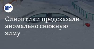 Синоптики предсказали аномально снежную зиму - ura.news - Москва - Россия