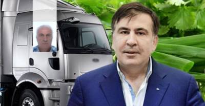 Саакашвили проник в Грузию в грузовике с укропом - eadaily.com - Украина - Грузия - Тбилиси - Рустави